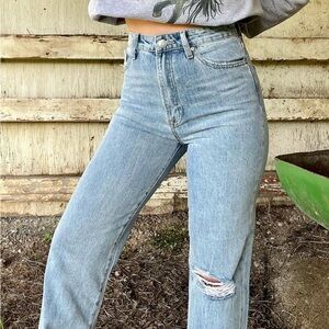 Insane gene - boutique brand